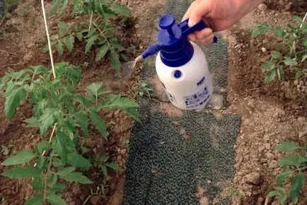 развалени домати
