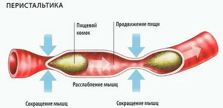Това, което е спешно общо с запек - това помага и как да се оправи (това помага) Това, което е спешно общо с запек - това помага и как да се определи