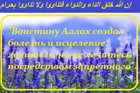 Как да използвате градински чай Как да използвате градински чай