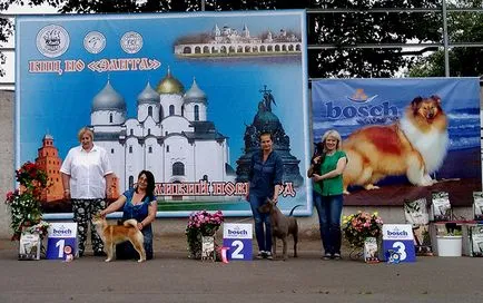 Vsebolgarskaya изложба на всички породи кучета
