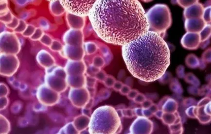 Chlamydia и бременност лечение