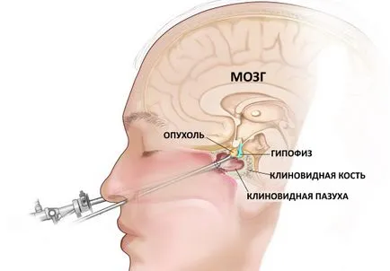лаборатория alkvimii лаборатория alkvimii