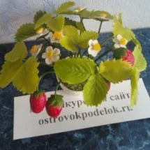 Paetki майсторски клас