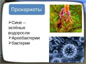 Емисията на водорасли Емисията на водорасли