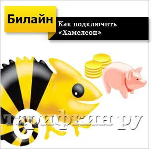 Как да деактивираме хамелеон метра