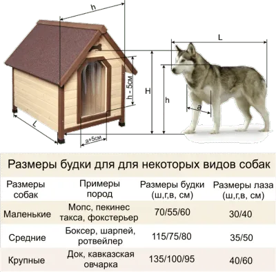 Как да направите дома си за кучета