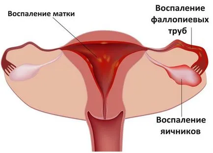 Право на ръба на това, което може да навреди Право на ръба на това, което може да навреди