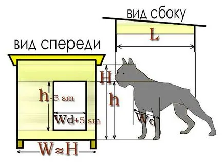 Как да направите дома си за кучета