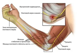 Защо боли лактите