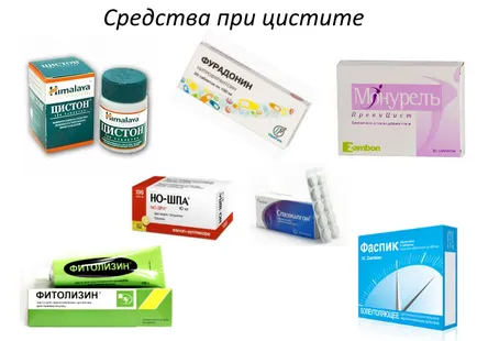 Цистит какво да правя