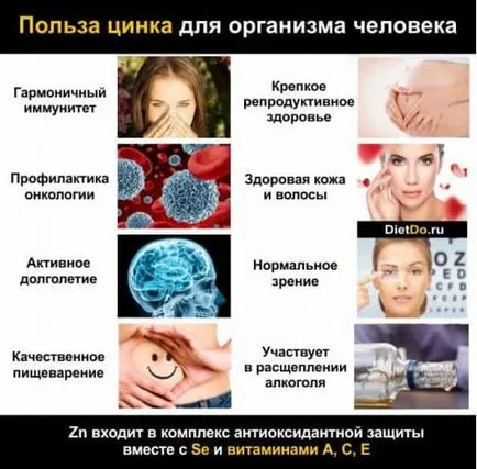 Цинкът се съдържа в нито един продукт в големи количества, както и значението на тялото
