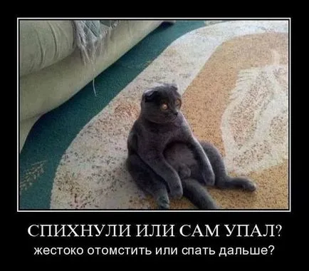 то Demotivators