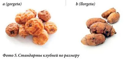 Какво е Chufa