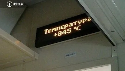 Какво да вземете влак храна