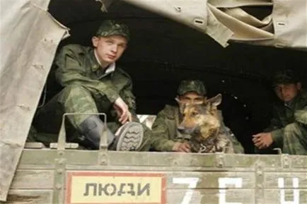 Какво да вземете влак храна