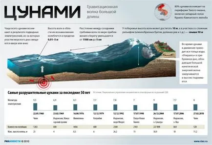 Какво е tsunam