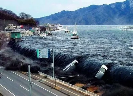 Какво е tsunam Какво е tsunam