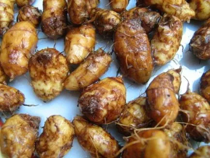 Какво е Chufa