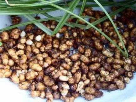 Какво е Chufa