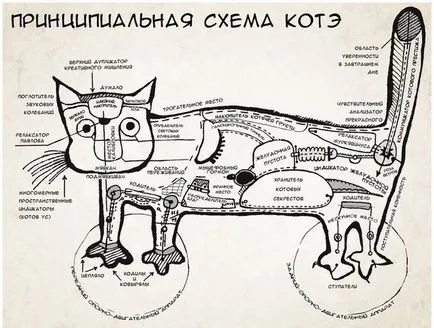 Къде е котката, която