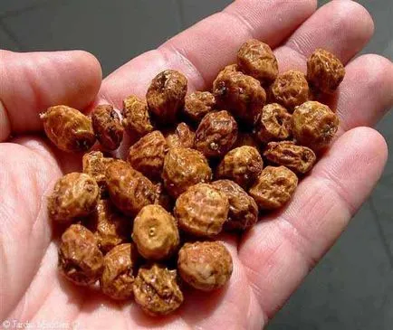 Какво е Chufa