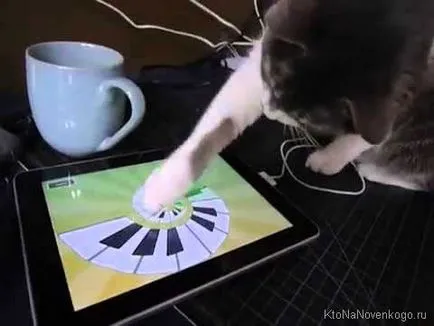 Ouija какво е