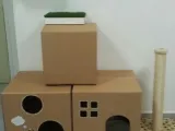 Дърво за котки