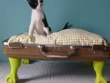 Дърво за котки