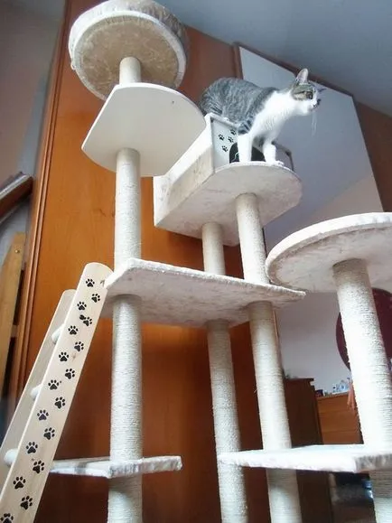 Дърво за котки