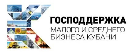 Електронен бюджет какво е