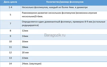 Фоликул изблици защо не
