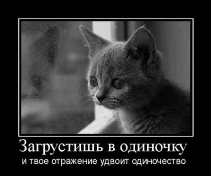 Какви са тъжни снимки