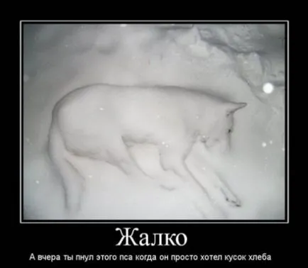 Какви са тъжни снимки