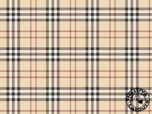 то Burberry