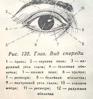 Как да направите очите за играчки