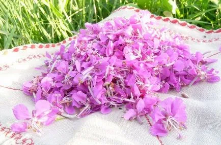 Как да си приготвите чай от върба чай
