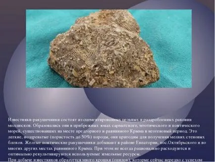 Това, което прави цименти