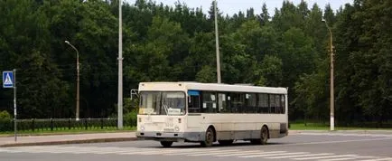 Петерхоф посоки