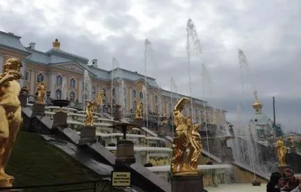 Петерхоф посоки