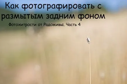 Как да снимам на фона беше замъглено