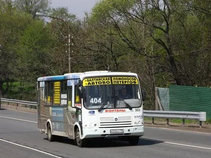 Петерхоф посоки