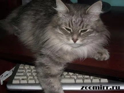 Как да се отървете от косата