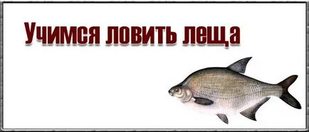 Кога и как да хване платика