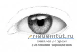 Как да се направи реалистична