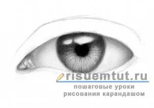Как да се направи реалистична