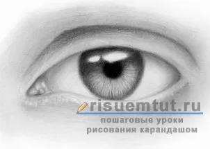 Как да се направи реалистична