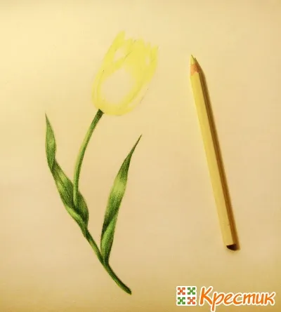 Как да се направи лале цвете