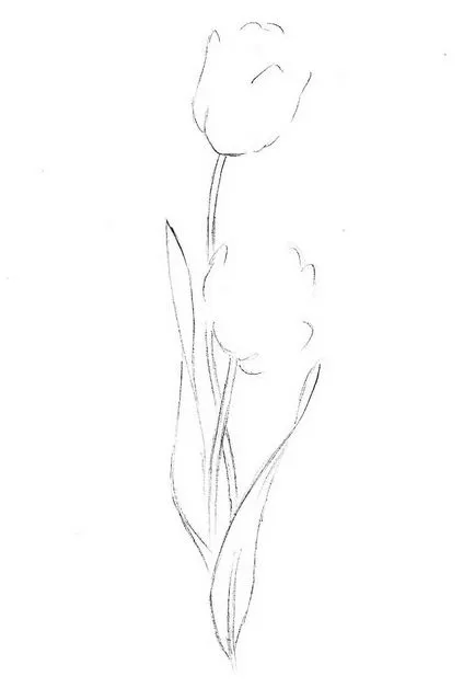 Как да се направи лале цвете