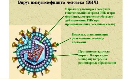 Какво трябва да направя, ако имам ХИВ