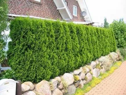 Garden украшение със собствените си ръце